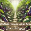 برنامه کودی بادمجان گلخانه‌ای ویژه کاشت خاکی