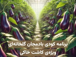 برنامه کودی بادمجان گلخانه‌ای ویژه کاشت خاکی
