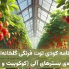 برنامه کودی توت فرنگی گلخانه‌ای ویژه کاشت هیدروپونیک در بسترهای آلی مانند کوکوپیت، پیت و …