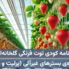 برنامه کودی توت فرنگی گلخانه‌ای ویژه کاشت هیدروپونیک در بسترهای غیرآلی (معدنی) مانند پرلیت، راک‌وول و …