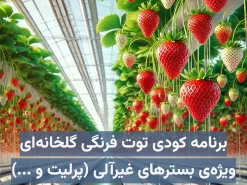 برنامه کودی توت فرنگی گلخانه‌ای ویژه کاشت هیدروپونیک در بسترهای غیرآلی (معدنی) مانند پرلیت، راک‌وول و …