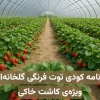برنامه کودی توت فرنگی گلخانه‌ای ویژه کاشت خاکی