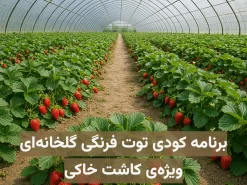 برنامه کودی توت فرنگی گلخانه‌ای ویژه کاشت خاکی