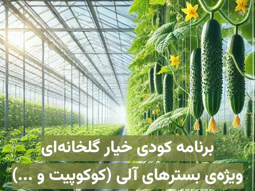 برنامه کودی خیار گلخانهای هیدروپونیک ویژه بسترهای آلی مانند کوکوپیت، پیت و ...