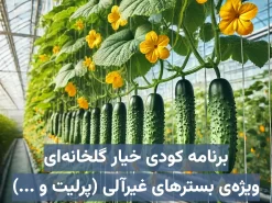 برنامه کودی خیار گلخانه‌ای ویژه بسترهای غیرآلی