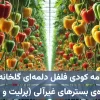 برنامه کودی فلفل دلمه‌ای گلخانه‌ای ویژه کاشت هیدروپونیک در بسترهای غیرآلی (معدنی) مانند پرلیت، راک‌وول و …