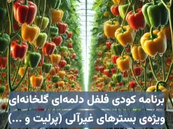 برنامه کودی فلفل دلمه‌ای گلخانه‌ای ویژه کاشت هیدروپونیک در بسترهای غیرآلی (معدنی) مانند پرلیت، راک‌وول و …