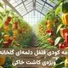 برنامه کودی فلفل دلمه‌ای گلخانه‌ای ویژه کاشت خاکی