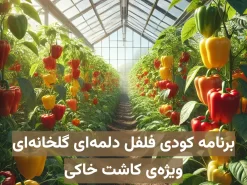 برنامه کودی فلفل دلمه‌ای گلخانه‌ای ویژه کاشت خاکی