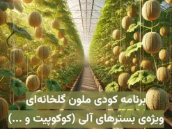 برنامه کودی ملون (خربزه) گلخانه‌ای هیدروپونیک ویژه بسترهای آلی مانند کوکوپیت، پیت و …
