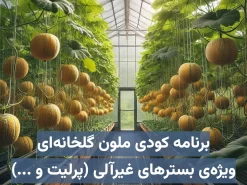 برنامه کودی ملون (خربزه) گلخانه‌ای هیدروپونیک ویژه بسترهای غیرآلی (معدنی) مانند پرلیت، راک‌وول و …