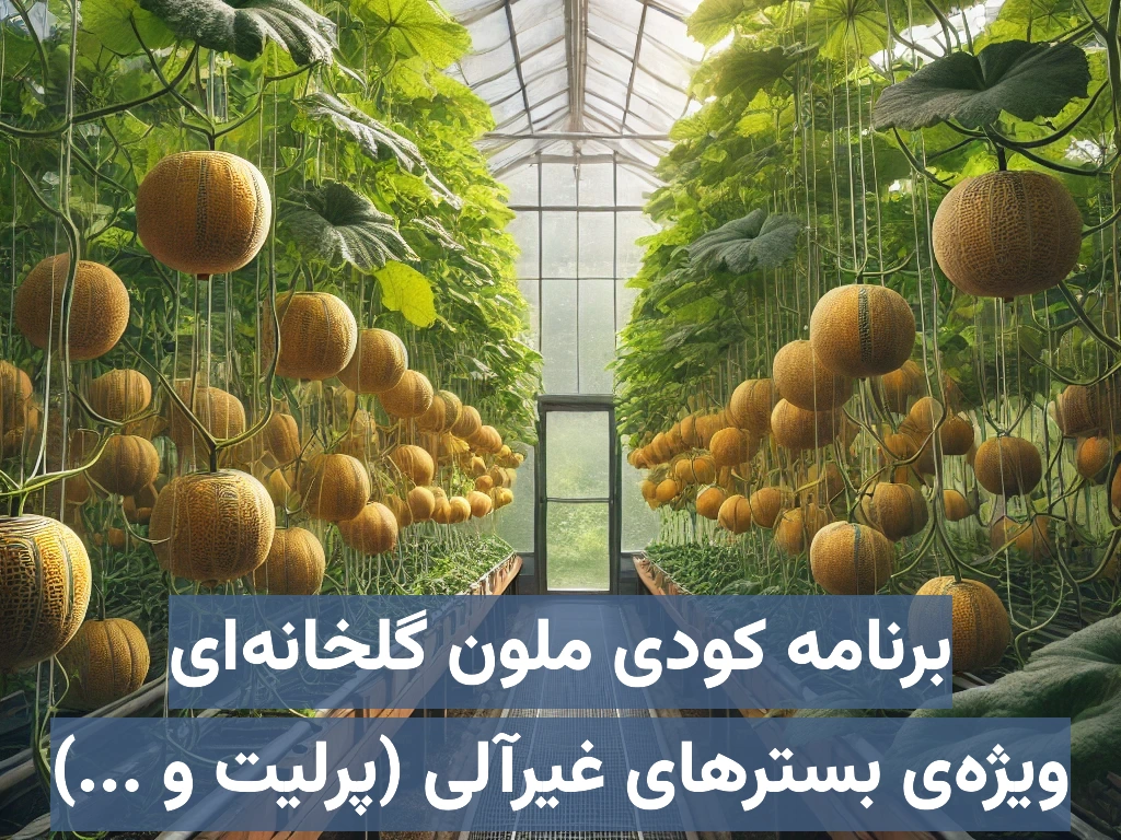 برنامه کودی ملون (خربزه) گلخانهای هیدروپونیک ویژه بسترهای غیرآلی (معدنی) مانند پرلیت، راکوول و …