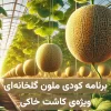 برنامه کودی ملون (خربزه) گلخانه‌ای ویژه کاشت خاکی