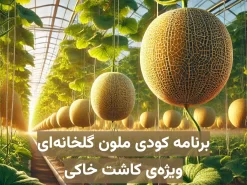 برنامه کودی ملون (خربزه) گلخانه‌ای ویژه کاشت خاکی