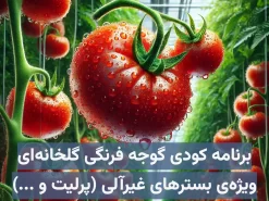 برنامه کودی گوجه فرنگی گلخانه‌ای ویژه کاشت هیدروپونیک در بسترهای غیرآلی (معدنی) مانند پرلیت، راک‌وول و …
