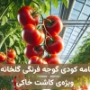 برنامه کودی گوجه فرنگی گلخانه‌ای ویژه کاشت خاکی