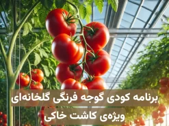 برنامه کودی گوجه فرنگی گلخانه‌ای ویژه کاشت خاکی