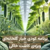برنامه کودی خیار گلخانه‌ای ویژه کاشت خاکی
